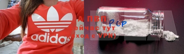 шишки Володарск