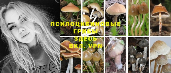 шишки Володарск