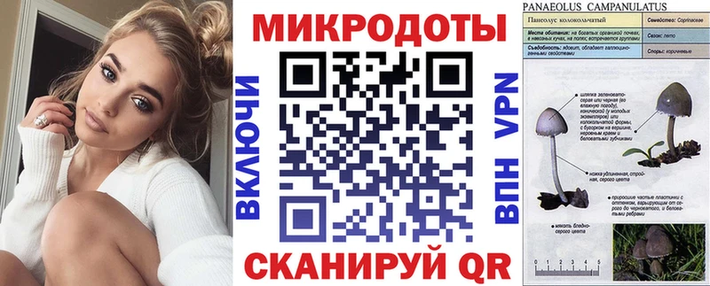Купить закладки  Челябинск  Псилоцибиновые грибы MAGIC MUSHROOMS 